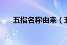 五指名稱由來（五指名稱各代表什么）