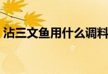 沾三文魚用什么調(diào)料（沾三文魚用什么調(diào)料）