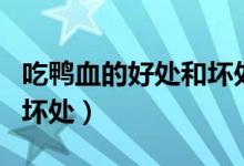 吃鴨血的好處和壞處是什么（吃鴨血的好處和壞處）