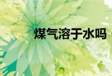 煤氣溶于水嗎（煤氣會(huì)溶于水嗎）
