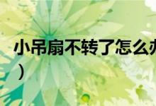 小吊扇不轉了怎么辦（小吊扇不轉了怎么修理）