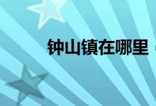 鐘山鎮(zhèn)在哪里（鐘山在什么地方）