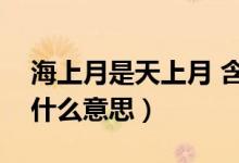 海上月是天上月 含義（備注海上月是天上月什么意思）