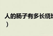 人的腸子有多長繞地球一圈（人的腸子有多長）