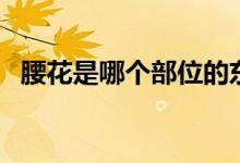 腰花是哪個(gè)部位的東西（腰花是哪個(gè)部位）