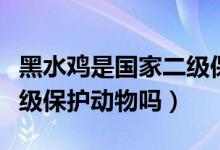 黑水雞是國(guó)家二級(jí)保護(hù)動(dòng)物（黑水雞是國(guó)家二級(jí)保護(hù)動(dòng)物嗎）