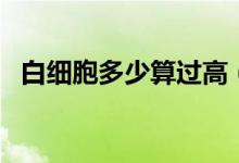 白細胞多少算過高（多少才算白細胞偏高）