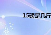 15磅是幾斤（15磅是幾斤）