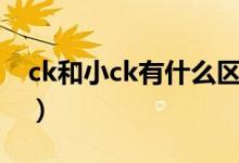 ck和小ck有什么區(qū)別（ck和小ck有什么區(qū)別）