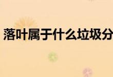 落葉屬于什么垃圾分類（落葉屬于什么垃圾）