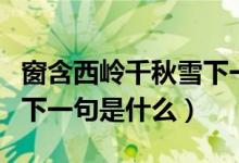 窗含西嶺千秋雪下一句是啥（窗含西嶺千秋雪下一句是什么）