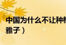 中國(guó)為什么不讓種榴蓮（中國(guó)為什么不讓種奇雅子）