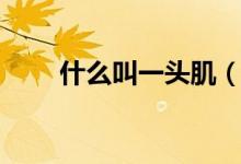 什么叫一頭?。ㄒ活^肌是哪個(gè)部位）