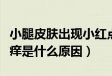 小腿皮膚出現(xiàn)小紅點(diǎn)很癢（小腿皮膚起紅點(diǎn)發(fā)癢是什么原因）