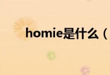 homie是什么（homie是什么意思）