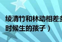 綾清竹和林動(dòng)相差多少歲（林動(dòng)和綾清竹什么時(shí)候生的孩子）