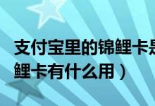 支付寶里的錦鯉卡是干嘛用的（支付寶中了錦鯉卡有什么用）