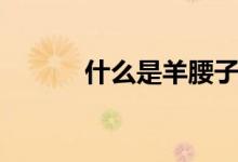 什么是羊腰子（什么是羊羔絨）