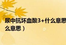 尿中抗壞血酸3+什么意思其他正常（尿常規(guī)抗壞血酸3 是什么意思）