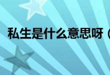 私生是什么意思呀（私生是什么意思 粉絲）