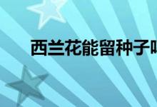 西蘭花能留種子嗎（西蘭花能生吃嗎）