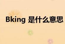 Bking 是什么意思（Bking中文什么意思）