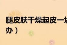 腿皮膚干燥起皮一塊塊（腿皮膚干燥起皮怎么辦）