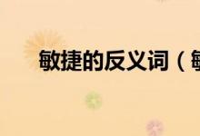 敏捷的反義詞（敏捷意思相反的詞語）