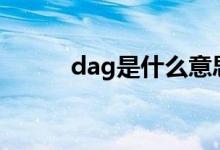 dag是什么意思（大G是什么車）