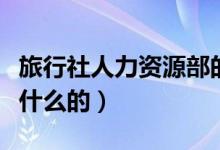 旅行社人力資源部的職責(zé)（旅行社人事部是干什么的）
