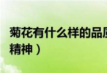 菊花有什么樣的品質(zhì)（菊花有什么樣的品質(zhì)與精神）