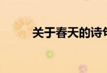 關(guān)于春天的詩句（推薦這些詩句）