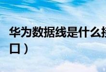 華為數(shù)據(jù)線是什么接口（華為數(shù)據(jù)線是什么接口）
