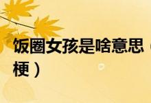 飯圈女孩是啥意思（飯圈女孩是什么意思什么梗）
