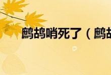 鷓鴣哨死了（鷓鴣哨最后是怎么死的）