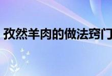 孜然羊肉的做法竅門（孜然羊肉的做法步驟）