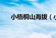 小梧桐山海拔（小梧桐山海拔多少米）