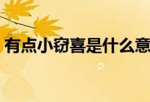 有點小竊喜是什么意思（小竊喜是什么意思）