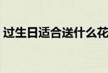 過生日適合送什么花（生日適合送的花介紹）