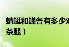 蜻蜓和蟬各有多少對翅膀（蜻蜓和蟬各有多少條腿）