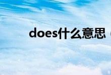 does什么意思（does怎么造句呢）