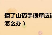 摸了山藥手很癢應(yīng)該怎么辦（摸了山藥手很癢怎么辦）