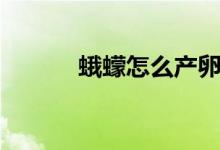 蛾蠓怎么產(chǎn)卵（蛾蠓怎么消滅）