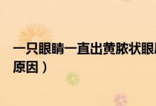一只眼睛一直出黃膿狀眼屎（一只眼睛有黃膿狀眼屎是什么原因）