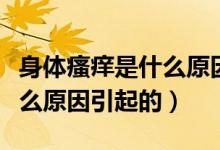 身體瘙癢是什么原因怎么治好（身體瘙癢是什么原因引起的）