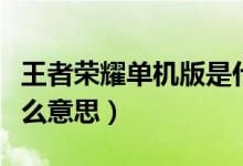 王者榮耀單機(jī)版是什么（王者榮耀的單機(jī)是什么意思）
