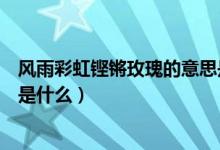 風(fēng)雨彩虹鏗鏘玫瑰的意思是什么（風(fēng)雨彩虹鏗鏘玫瑰的意思是什么）
