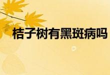 桔子樹(shù)有黑斑病嗎（冀z屬于河北哪個(gè)市）