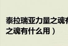 泰拉瑞亞力量之魂有什么作用（泰拉瑞亞力量之魂有什么用）