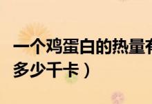 一個雞蛋白的熱量有多少（一個雞蛋白熱量是多少千卡）